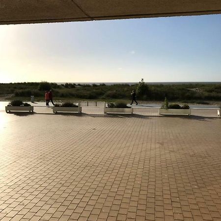 Zandduin Nieuwpoort Εξωτερικό φωτογραφία